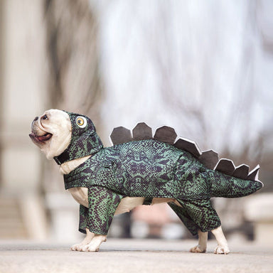 Stegosaurus Dog Costume