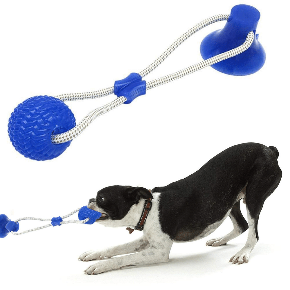 Suction Cup Rope Ball Tug toy