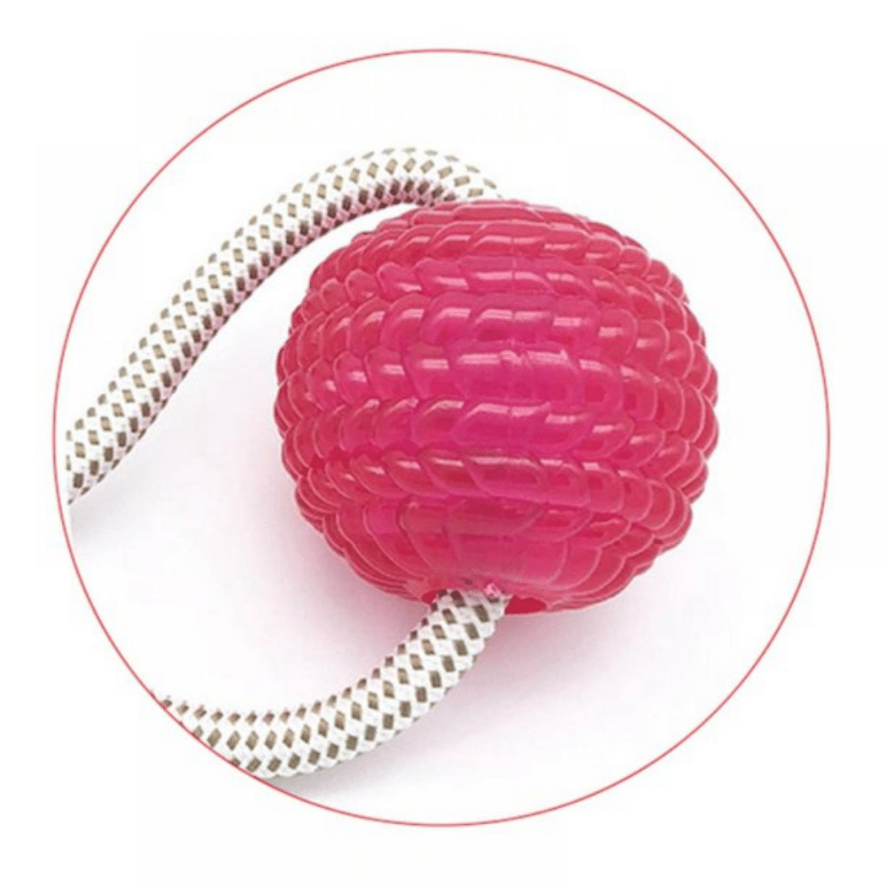 Suction Cup Rope Ball Tug toy