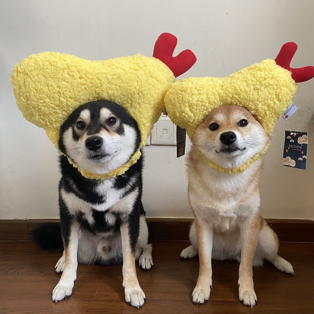 Tempura Fried Shrimp Dog Hat