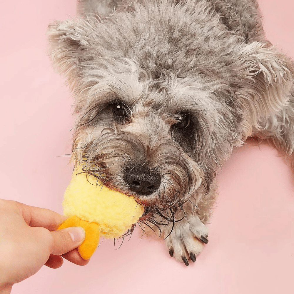 Tempura Fried Shrimp Squeaky Toy