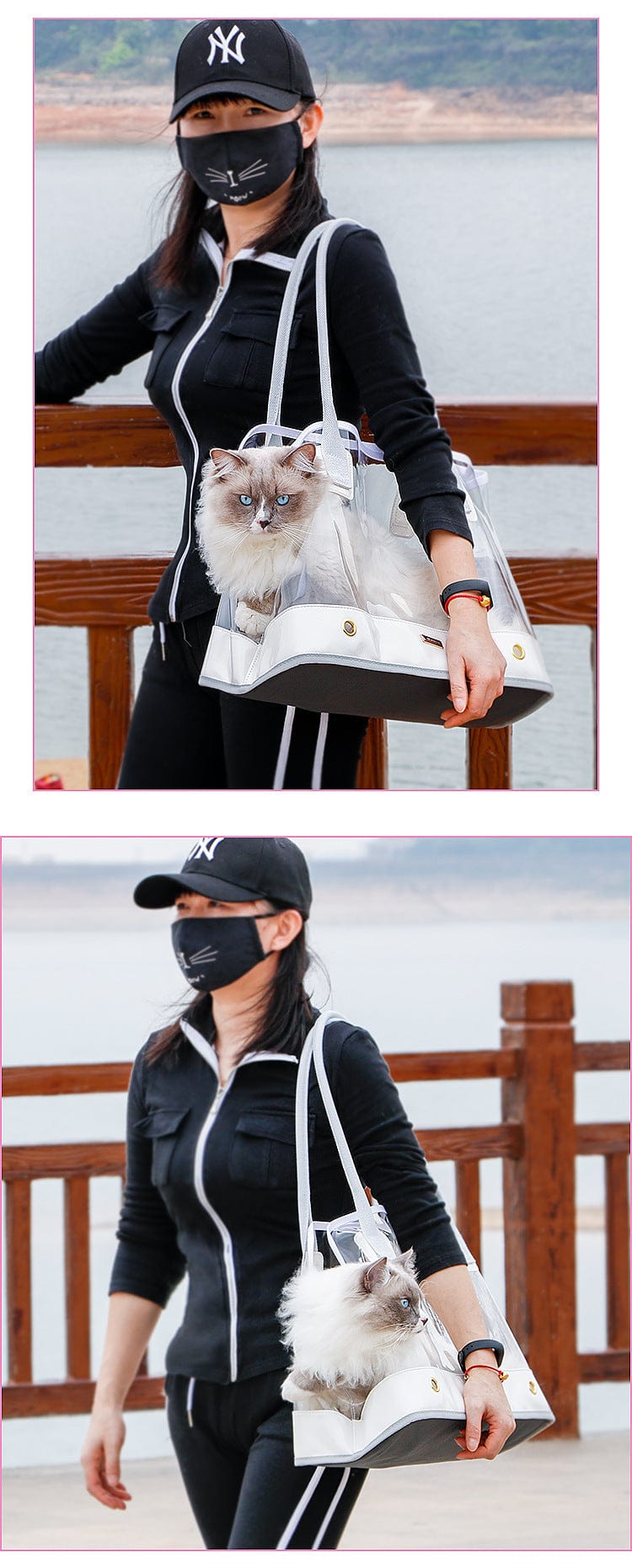 Transparent bag for dog go out