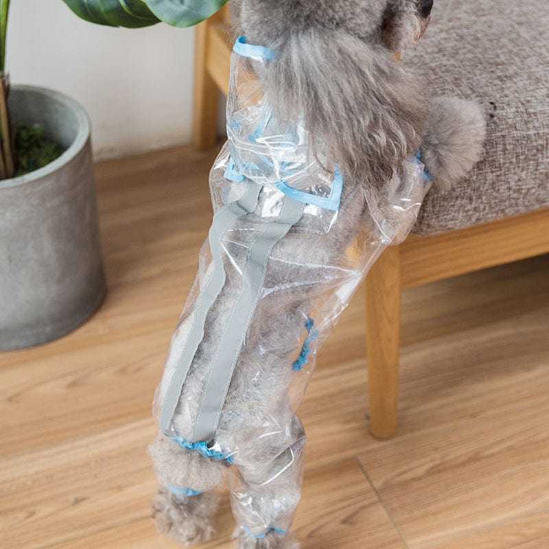 Transparent blue / XXL Pet dog raincoat