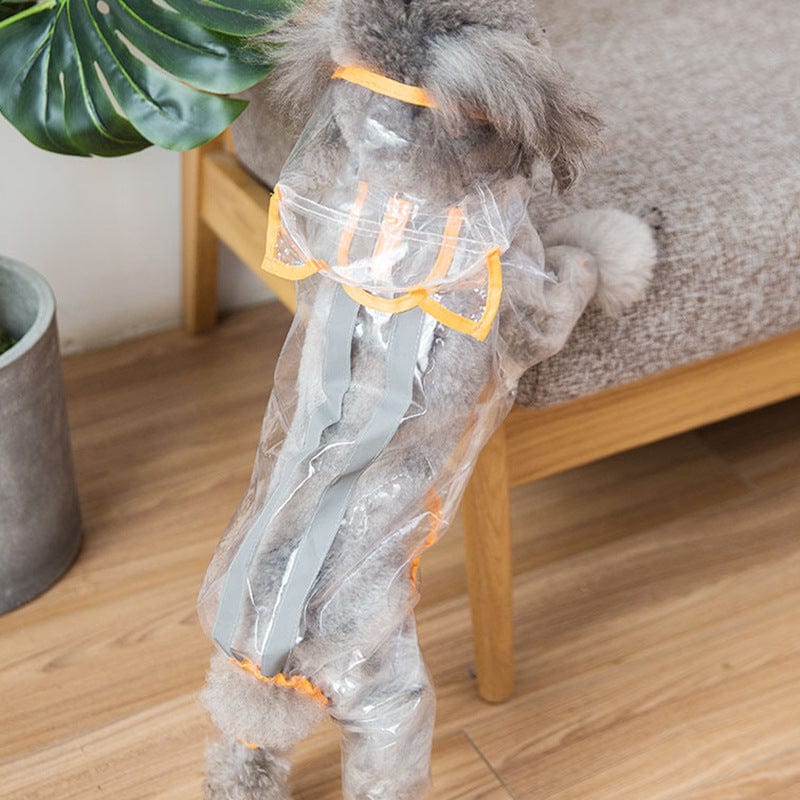 Transparent yellow / XXL Pet dog raincoat