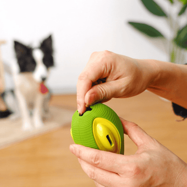 Treat Dispensing Avocado Dog Chew Toy