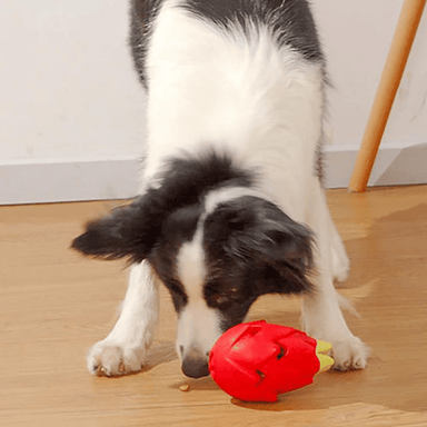 Treat Dispensing Dragon Fruit Dog Chew Toy