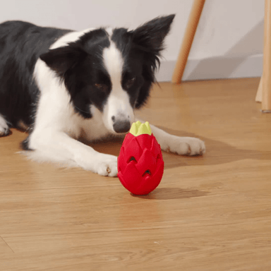 Treat Dispensing Dragon Fruit Dog Chew Toy