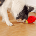 Treat Dispensing Dragon Fruit Dog Chew Toy