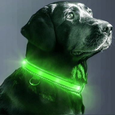 USB Rechargeable LED Flashing Nylon Dog Collar