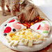 White 20in Pizza Snuffle Mat