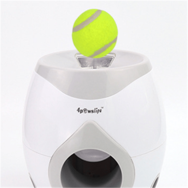 White Tennis food reward machine