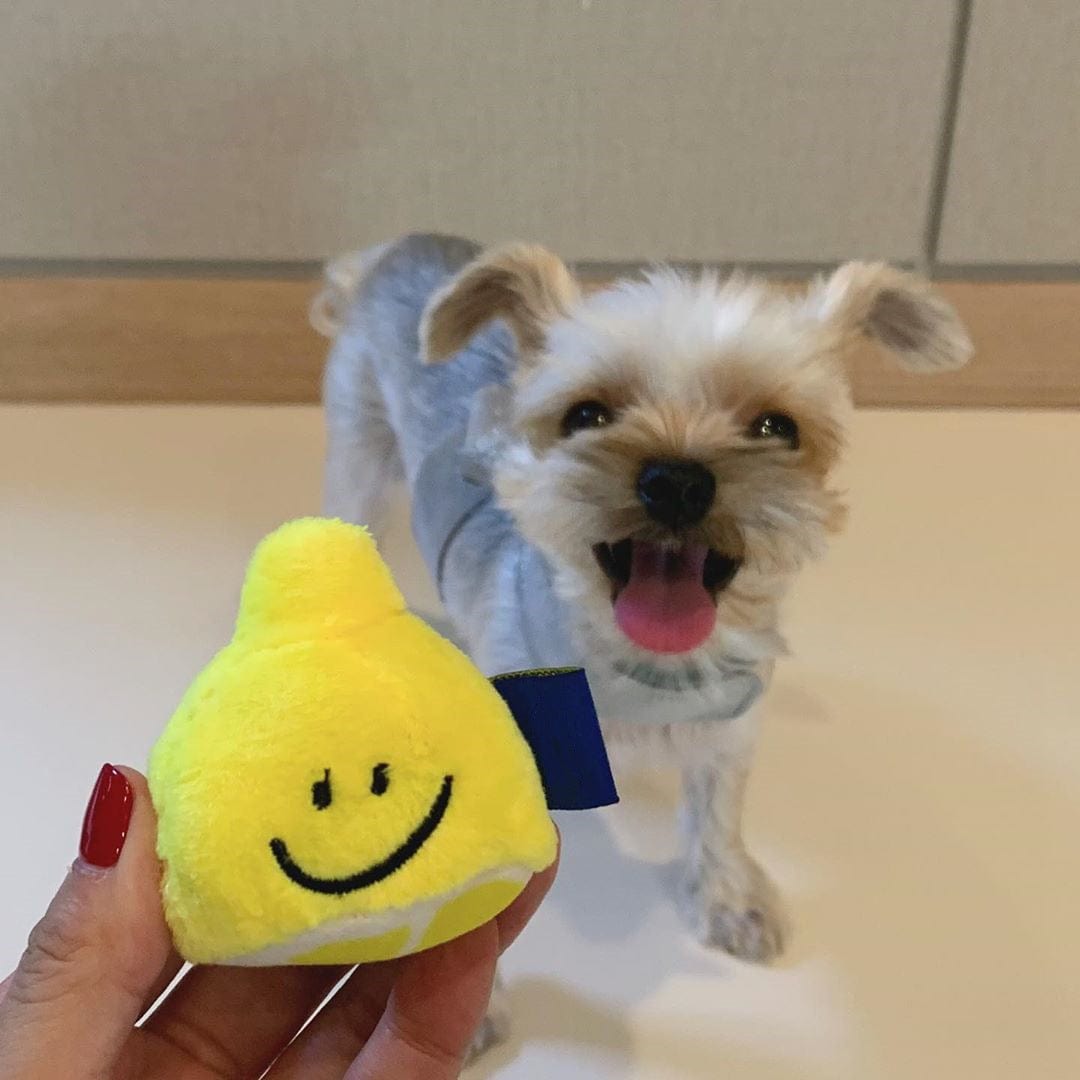 Yellow Pet voice toys