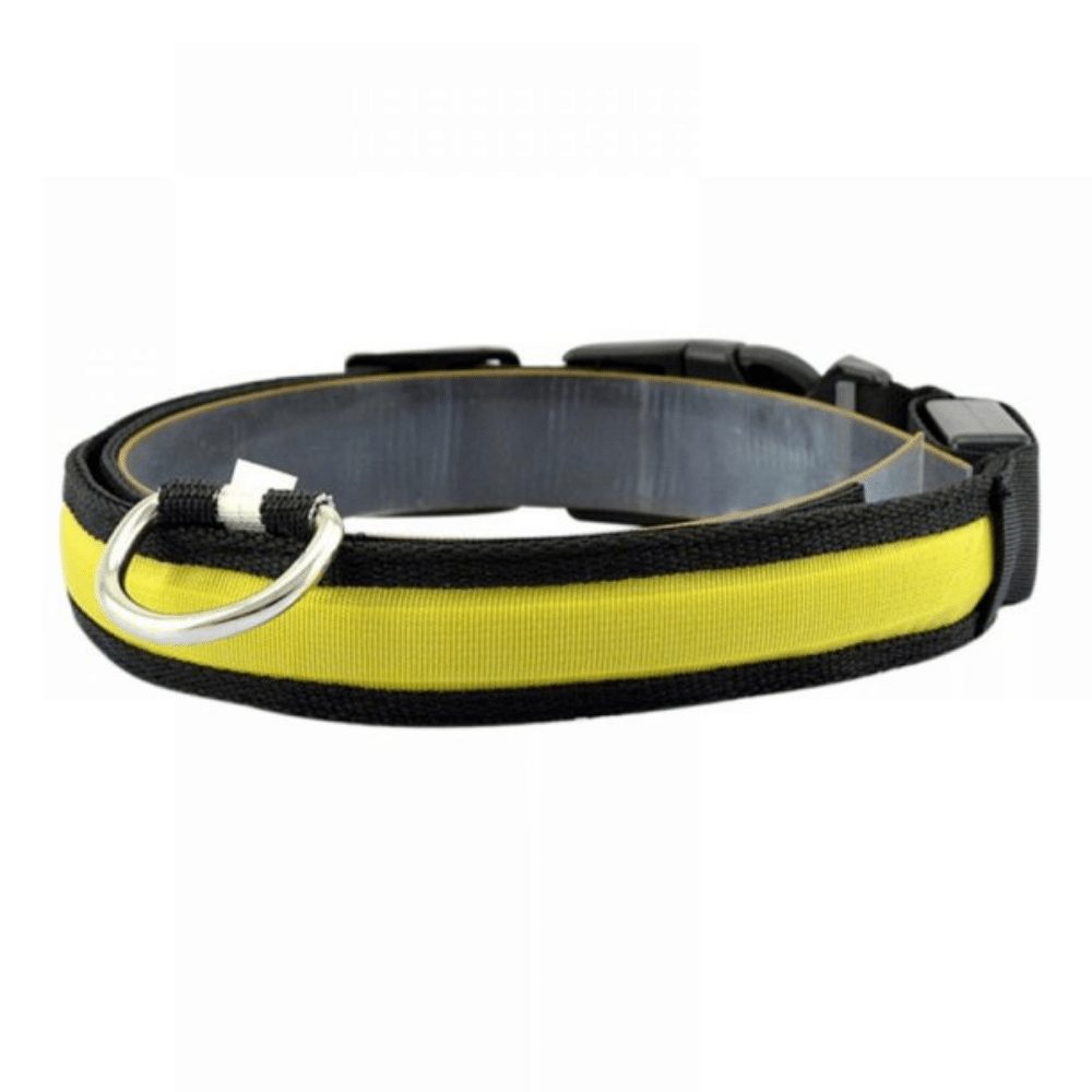 Yellow / Plain / L USB Rechargeable LED Flashing Nylon Dog Collar