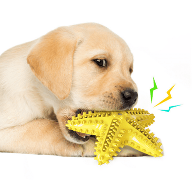 Yellow Starfish Toothbrush Dog Chew Toy