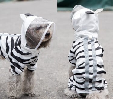 Zebra stripes / M Pet dog raincoat